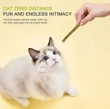Natural Silvervine Cat Chew Sticks – Teeth Cleaning & Play Toy (6 Pack)