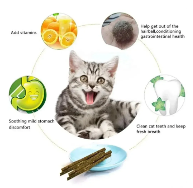 Natural Silvervine Cat Chew Sticks – Teeth Cleaning & Play Toy (6 Pack)